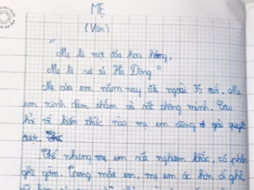 Bài văn tả mẹ gây sốc ngay từ câu đầu tiên, đọc đến đoạn kết mới thấy em học sinh quá thông minh