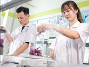 Tin tức - Ngành học "healthy" nhất Việt Nam, ra trường làm chuyên gia lĩnh vực Y tế, nếu giỏi tiếng Anh có thể kiếm tiền tỷ mỗi năm