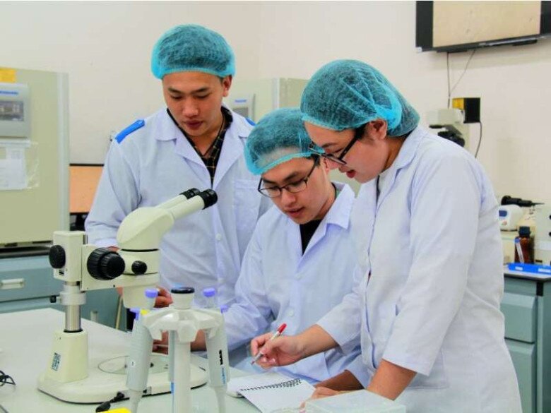 Theo thống kê từ trường ĐH Bách Khoa, tỷ lệ sinh viên tốt nghiệp và có việc làm sau hai năm ra trường luôn ở mức cao. Sinh viên mới tốt nghiệp có thể dễ dàng đạt thu nhập bình quân 20-30 triệu/tháng.