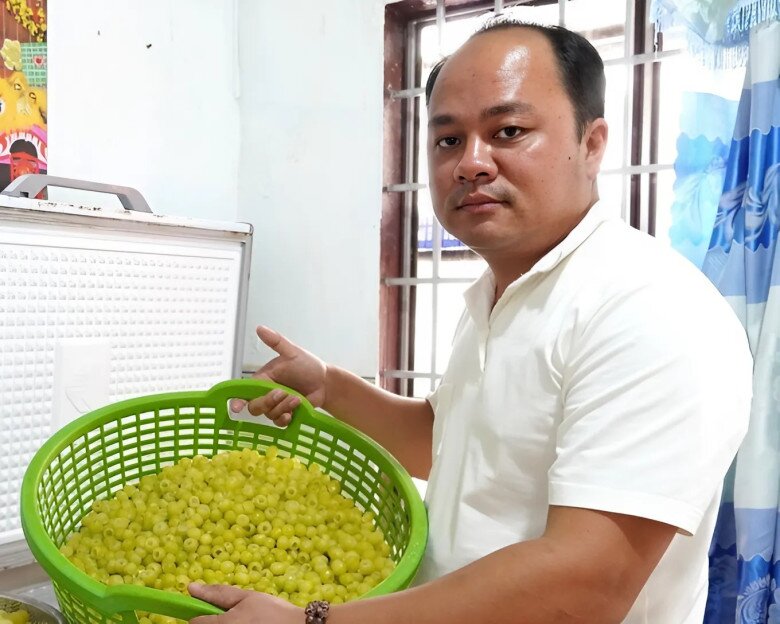 Hiện cà na tách hạt được bán đi khắp nơi trên cả nước, với hơn 2 tấn/tháng. Với giá bán từ 80.000-90.000 đồng/ hộp 500gram, mỗi tháng anh lời khoảng 100 triệu đồng.