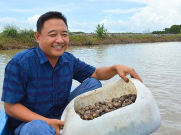 Nuôi con 1 vốn 4 lời, suốt ngày vùi dưới bùn, không tốn công chăm sóc, lão nông Ninh Bình nhẹ nhàng bỏ túi trăm triệu đồng