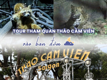 Thảo Cầm Viên bất ngờ mở tour tham quan động vật về đêm, ngắm nhìn muôn thú sinh hoạt, giá vé thế nào?