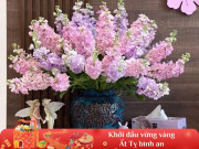 Sức khỏe - Hoa nào trưng Tết đẹp nhưng có độc? 10 người thì 9 người trả lời sai