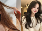 Đẹp - Sắp Tết mà tóc vẫn mỏng yếu, chị em bỏ túi ngay bí quyết chăm sóc và tạo kiểu để tóc đẹp bồng bềnh