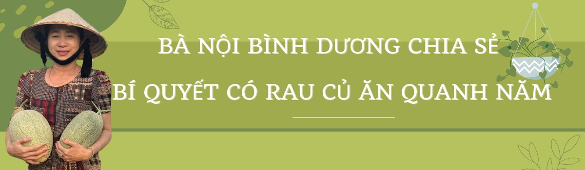 Bà nội Bình Dương làm vườn trên sân thượng 60m2, rau xanh mơn mởn, quả sai trĩu trịt quanh năm - 10