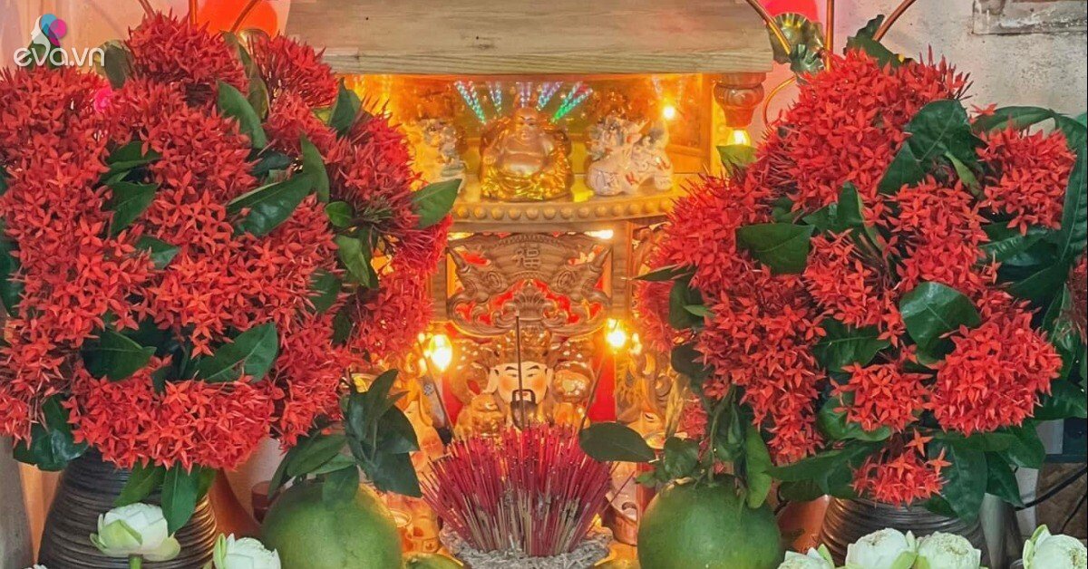 Ngày vía Thần Tài nhớ đặt 8 loại hoa vừa đẹp vừa thơm này lên bàn thờ để hứng trọn phú quý