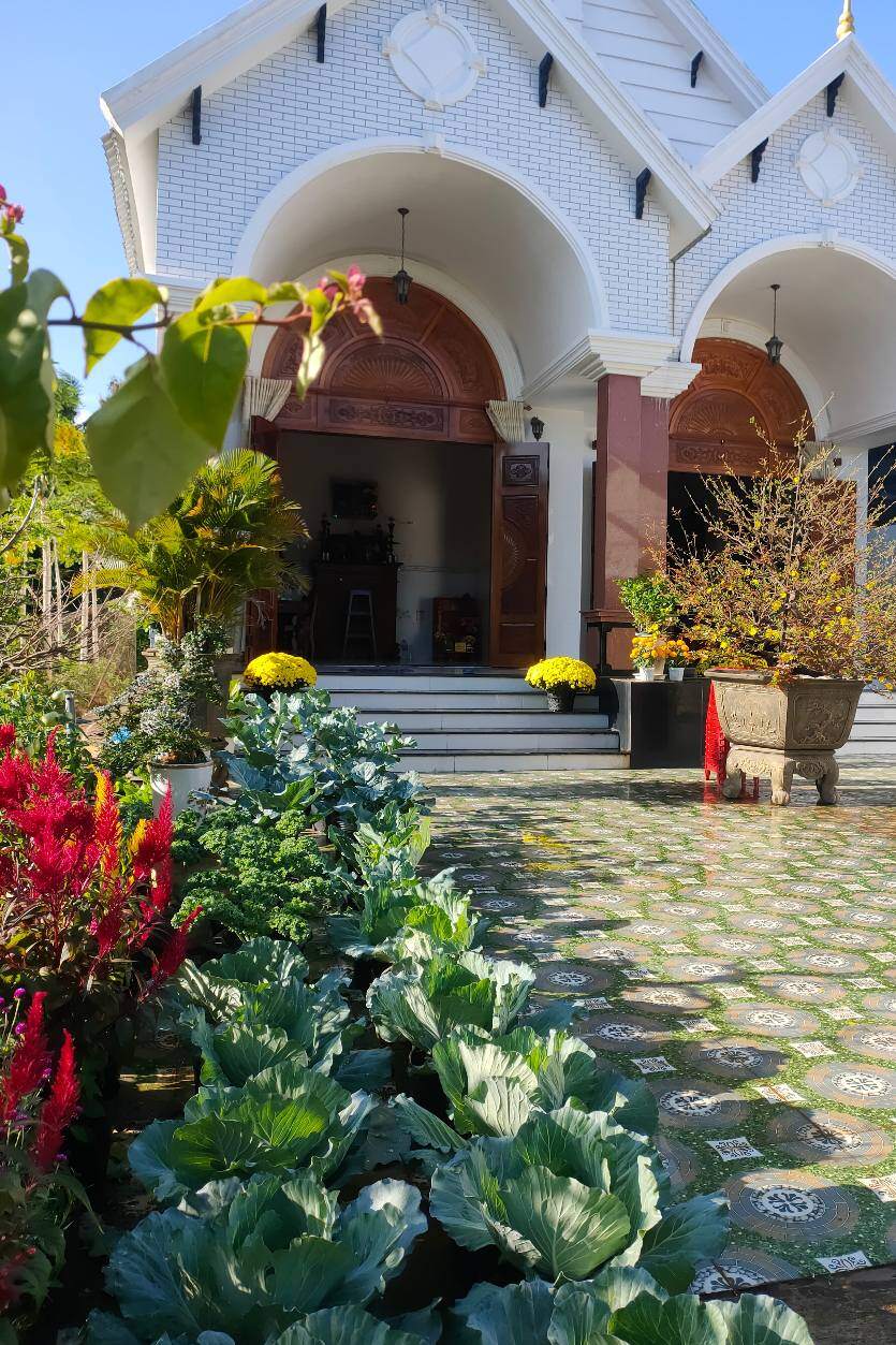 Mẹ đảm chi hơn 1 triệu trồng rau nuôi gà trên mảnh vườn 200m2, rau xanh quanh năm, hoa rực rỡ muôn màu - 2
