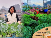 Nhà đẹp - Vườn sân thượng đẹp như tranh với view biển và núi của mẹ đảm Quảng Ninh, rau xanh ngắt quanh năm, hoa khoe sắc 4 mùa