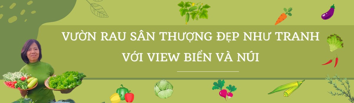 Vườn sân thượng đẹp như tranh với view biển và núi của mẹ đảm Quảng Ninh, rau xanh ngắt quanh năm, hoa khoe sắc 4 mùa - 1