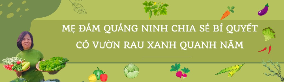 Vườn sân thượng đẹp như tranh với view biển và núi của mẹ đảm Quảng Ninh, rau xanh ngắt quanh năm, hoa khoe sắc 4 mùa - 8