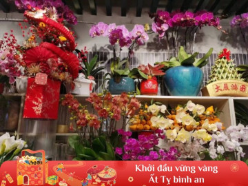 Dù 10 loại hoa Tết này có đẹp và rẻ đến đâu cũng đừng mua vì rất độc và khó trồng