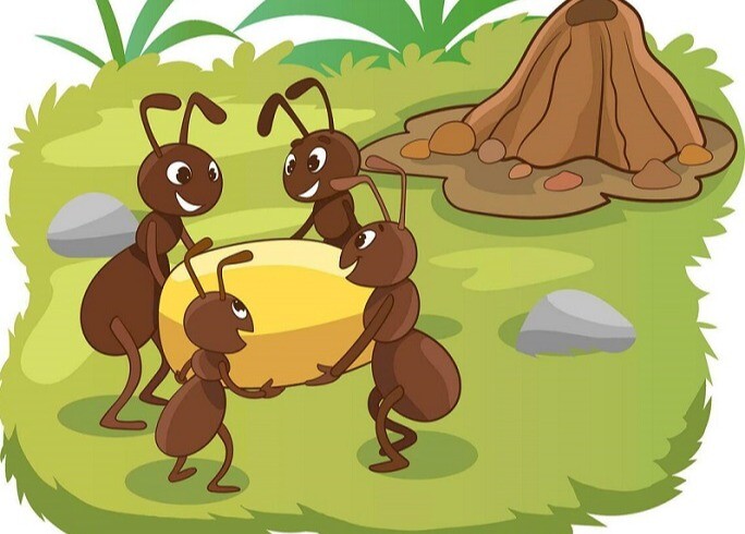 Truyện cổ tích: Đàn kiến và cọng rơm