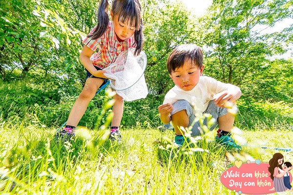 Học tập, vui chơi và nghỉ ngơi đều đặn.