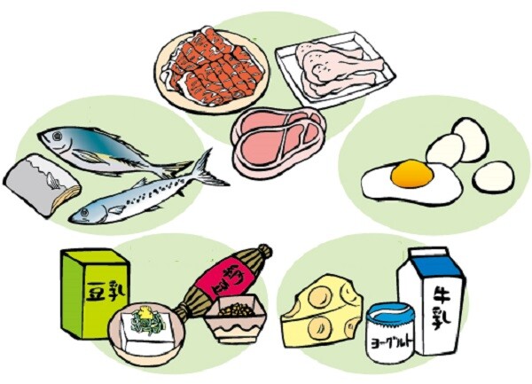 Những thực phẩm giàu protein như sữa, đậu nành, đậu đen, thịt lợn, thịt bò, trứng, cá.