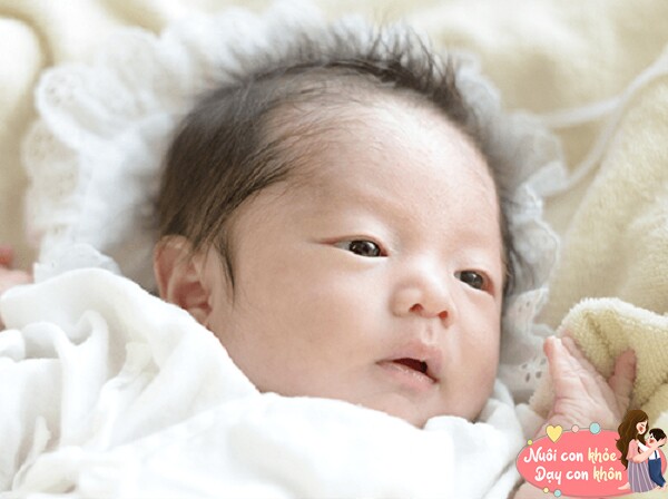Trẻ em có vầng trán rộng và đầy đặn là đại diện cho trí thông minh.