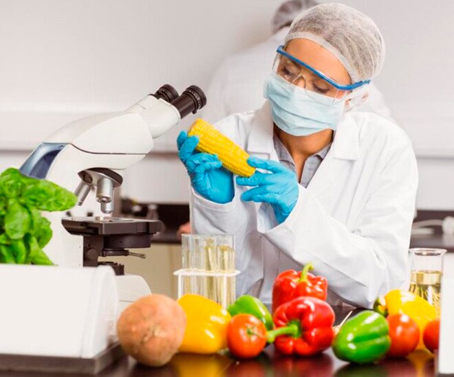 5 ngành học dễ xin việc, ít cạnh tranh, mức lương tới 50 triệu đồng/tháng, triển vọng trong những năm tới - 1