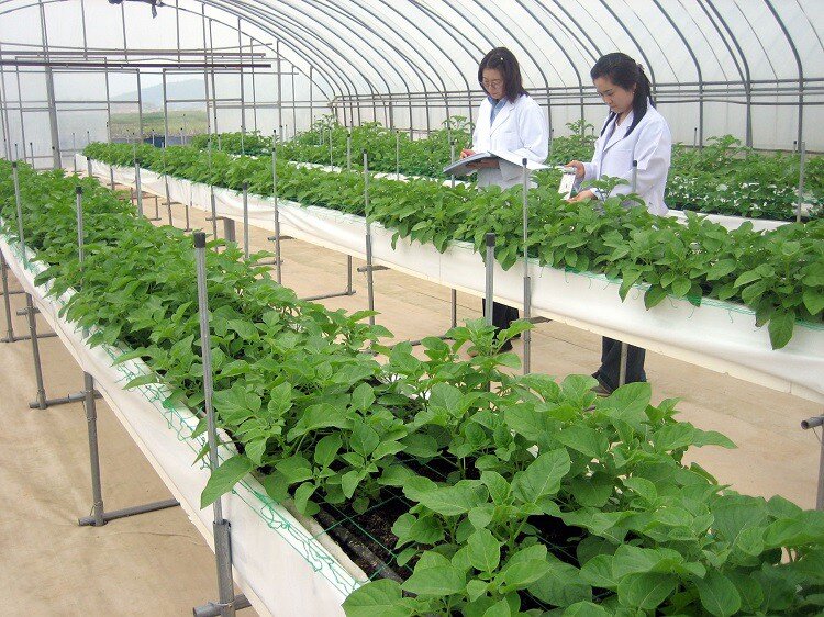 5 ngành học ở Việt Nam không sợ thất nghiệp, thị trường amp;#34;khátamp;#34; nhân lực trong những năm tới, ra trường hái ra tiền - 5