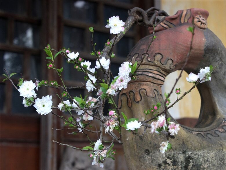 Nhất chi mai có nhiều dáng thế, giá thành đắt đỏ nhưng vẫn được ưa chuộng