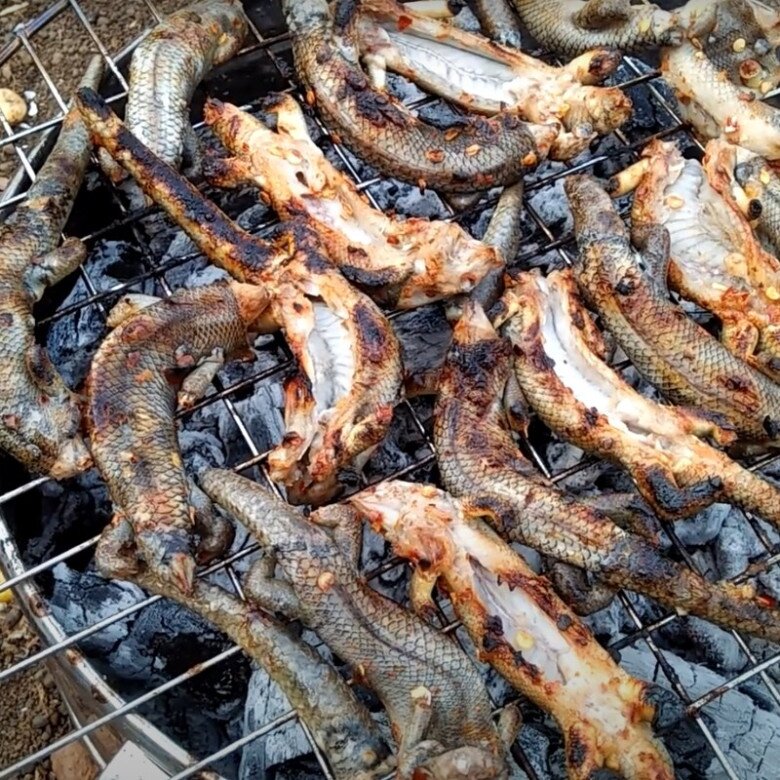 Trên thị trường, rắn mối được bán với giá khoảng 350.000 đồng/kg