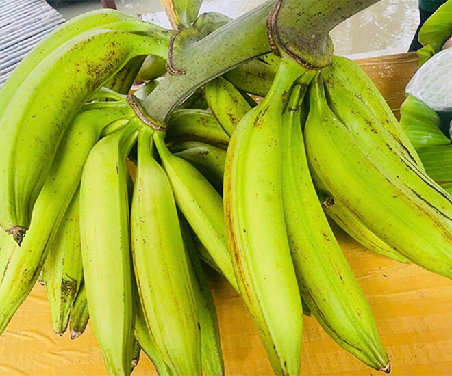 Chuối tá quạ có kích thước khủng, có quả nặng tới 1kg khiến ai nghe tên cũng vô cùng tò mò và tìm mua thử để thưởng thức