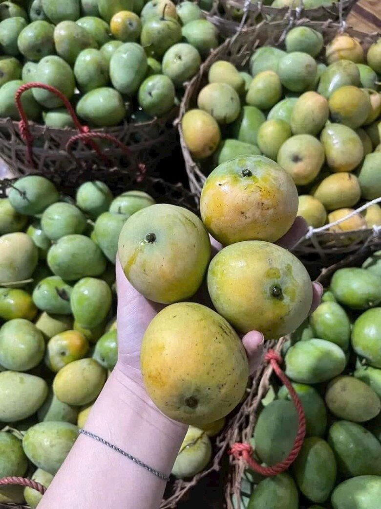 Xoài khi chín cho cùi dày, có màu đỏ hoặc vàng cam, khi ăn sẽ thấy vị ngọt thanh đọng lại nơi đầu lưỡi, đặc biệt mùi rất thơm. 