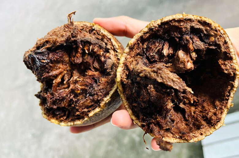 Ruột trái quách đậm màu, có thể ăn trực tiếp hoặc dầm với đường, đá làm thành món giải nhiệt được ưa chuộng ở thành phố những năm gần đây