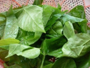 Sức khỏe - Loại lá dại ở bờ mương có tên rất lạ, nay thành đặc sản nổi tiếng có hương vị đặc biệt giá 70.000 đồng/kg, tốt cho sức khỏe