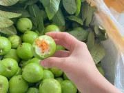 Sức khỏe - Loại quả có tên rất lạ, xưa giá rẻ như cho nay thành đặc sản được người thành phố ưa chuộng, tốt cho sức khoẻ