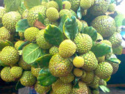 Sức khỏe - Loại quả xưa rụng đầy không ai ăn, nay thành đặc sản nổi tiếng ở thành phố được ưa chuộng, tốt cho sức khoẻ