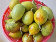 Tiêu dùng - Loại quả xưa rụng đầy gốc không ai ngó ngàng, nay thành đặc sản Tết Nguyên đán được "săn lùng", 100.000 đồng/kg