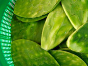 Sức khỏe - Cây dại ở bờ rào không ngờ thành món đặc sản có hương vị đặc biệt, dân thành phố ưa chuộng, tốt cho sức khỏe