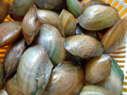 Sức khỏe - Đặc sản ở quê có tên lạ, mỗi năm chỉ có một mùa, nay dân thành phố ưa chuộng, tốt cho sức khoẻ