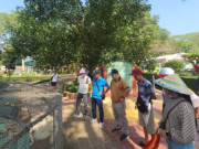 Tin tức - Cận cảnh trăn bạch tạng quý hiếm dài 5m, nặng hơn 90kg