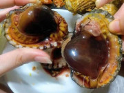 Sức khỏe - Đặc sản ở quê tên rất lạ, mỗi năm chỉ có một mùa, nay thành món ăn khoái khẩu giá 300.000 đồng/kg, tốt cho sức khỏe