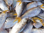 Tiêu dùng - Đặc sản nổi tiếng Thanh Hóa, xưa cho lợn gà ăn nay thành món khoái khẩu được ưa chuộng vì hương vị lạ, 120.000 đồng/kg