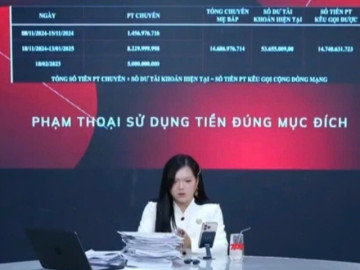 Chuyên gia chỉ ra điểm hạn chế khi Phạm Thoại livestream sao kê tiền hỗ trợ bé Bắp