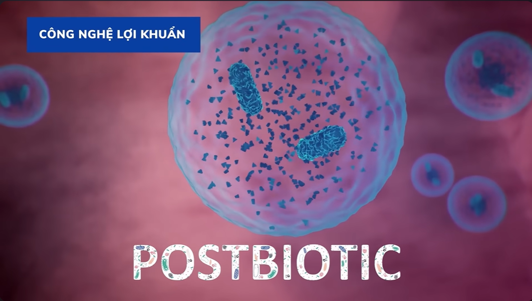 Postbiotic - Bước đột phá men vi sinh để giúp cải thiện sức khỏe đường ruột, giảm chứng khó tiêu, rối loạn tiêu hóa ở trẻ em.