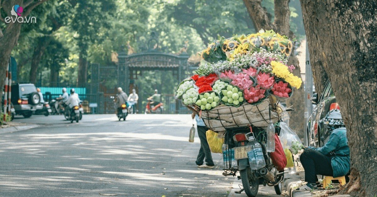 Thời tiết tháng 1: Miền Bắc sắp迎 ngày ấm nhất, nhiệt độ Hà Nội tăng mạnh