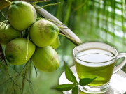 Sức khỏe - Trà xanh và nước dừa loại nào chăm uống dễ giúp phụ nữ trẻ lâu, da đẹp? Bài trắc nghiệm dưới đây sẽ khiến bạn bất ngờ!
