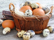 Sức khỏe - Trong 4 loại trứng sau đây, loại nào giàu protein nhất? Hóa ra không phải cứ đắt tiền là tốt nhất cho sức khỏe