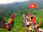 Tin tức - Tỉnh nào ở miền Bắc được vua Thiệu Trị đặt tên, từng diễn ra chiến dịch nổi tiếng mang tầm vóc thời đại, vang danh sử Việt?