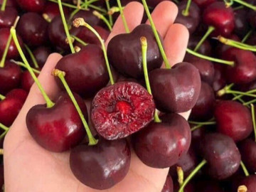 Loại quả được mệnh danh nữ hoàng trong thế giới trái cây, giá cực đắt đỏ nhưng nhiều người ăn vào lại tiêu chảy