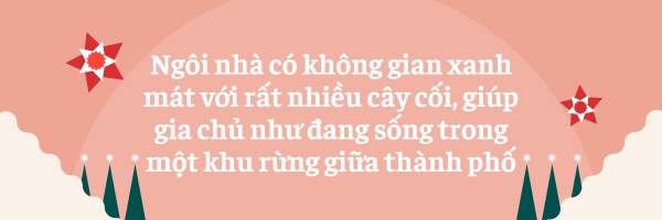 Cô gái Quảng Nam và bạn trai Mỹ chi tiền amp;#34;khủngamp;#34; cải tạo penthouse thành amp;#34;rừng nhiệt đớiamp;#34; giữa lòng Sài Gòn - 11