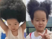 Yêu con - Bé gái 5 tuổi sinh ra có mái tóc xoăn như “tổ chim”, tưởng di truyền nhưng biết dung mạo bố mẹ ai cũng ngỡ ngàng