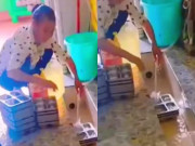 Yêu con - Đến đón con vô tình phát hiện cảnh cô giáo đang rửa bát trong nhà vệ sinh, ông bố lập tức chuyển trường