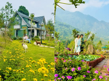 Cặp vợ chồng tiến sĩ Hà Nội bỏ phố về rừng, xây biệt thự vườn rộng thênh thang, đẹp đến nao lòng