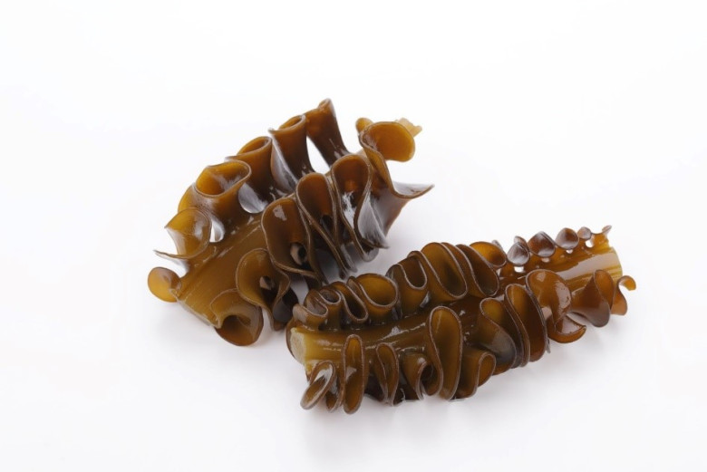 Hoạt chất Fucoidan có nhiều trong các loại tảo nâu