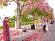 Lifestyle - Đường kèn hồng 'đẹp nhất miền Tây' hút khách
