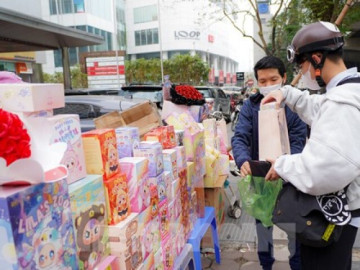 Giới trẻ săn túi mù Baby Three, hoa tulip trồng chậu tặng người yêu ngày Valentine