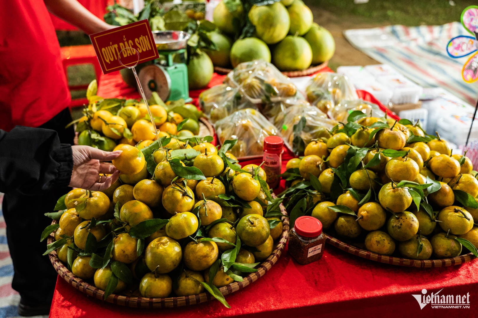 Lò Nung Ngói Hay Các Vườn Quýt Vàng Là Điểm Check-In Hấp Dẫn Du Khách. Ảnh: Huy Nguyễn
